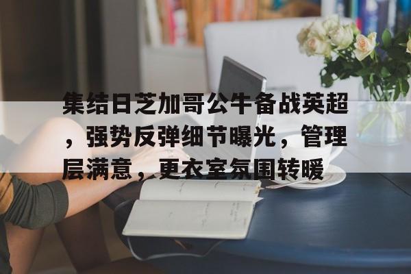 实时赛况-集结日芝加哥公牛备战英超，强势反弹细节曝光，管理层满意，更衣室氛围转暖的简单介绍